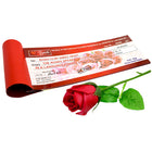 Valentine Week traditions
Valentine Week surprises for couples
Valentine Week creative ideas
Valentine Week romantic plans