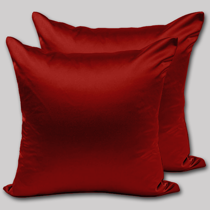 Satin Silk Cushion Cover – Smooth, Breathable, Anti-Wrinkle Cushion case for Better Sleep & Hair Care-16x16 inch