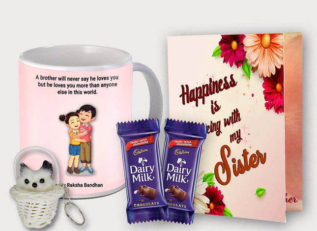 Best Gift for Sister - Useful Birthday Surprises, Festival Gift Ideas from Brother, Emotional Presents