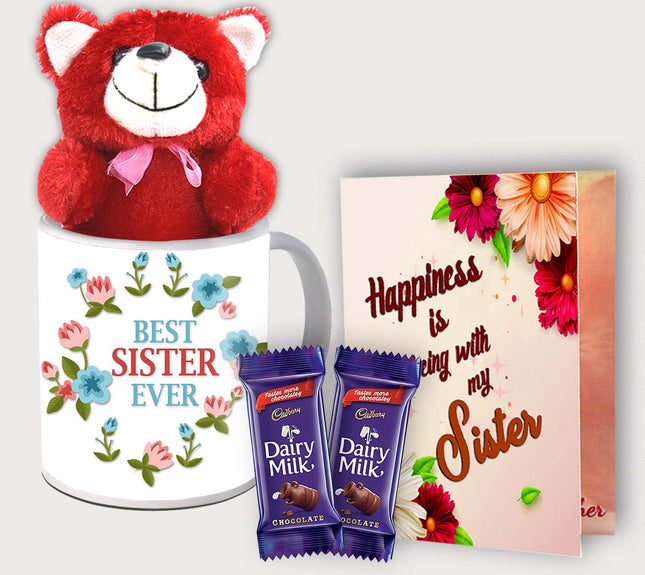 Birthday Mug for Sister – Cute Gift from Brother or Sister – Simple Surprise for Special Days
