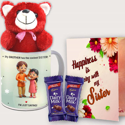 Raksha Bandhan Gift for Sister from Brother – Simple and Useful Present for Special Days