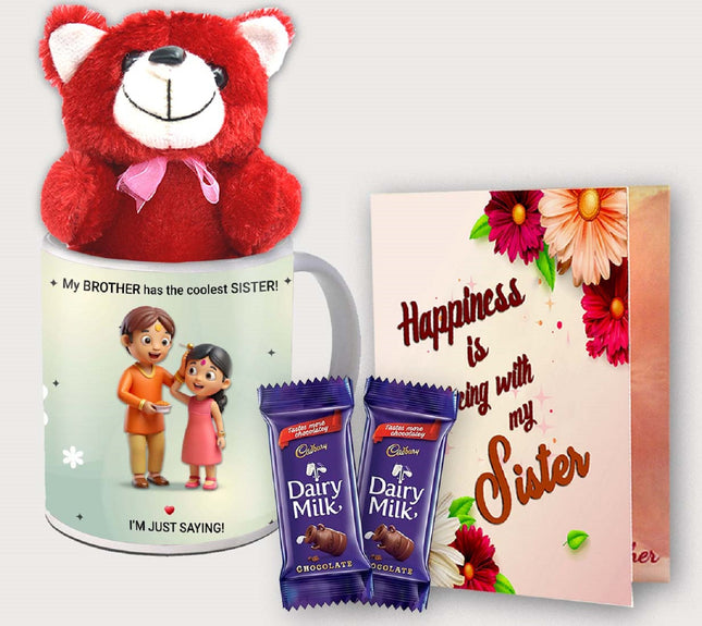 Raksha Bandhan Gift for Sister from Brother – Simple and Useful Present for Special Days
