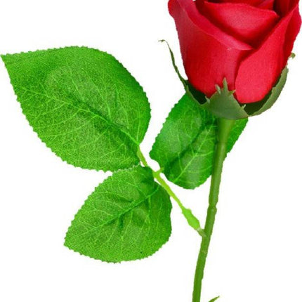 Valentine Week themes
Valentine Week couple activities
Valentine Week surprises at home
Valentine Week thoughtful ideas
Valentine Week celebrations for couples
Rose Day romantic gifts
